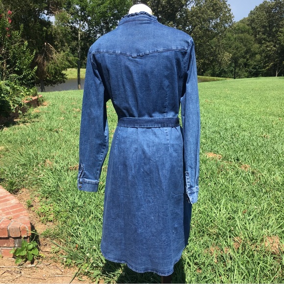 Biden Ruffle Collar & Trim Button Down Denim Shirt Dress Sz 16R - Picture 5 of 10